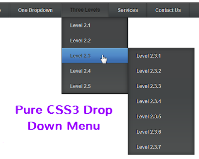Menu ngang xổ dọc xuống nhiều cấp (Kiểu 1) với CSS3