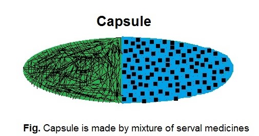 Learning About Java Technology: Encapsulation in java with example