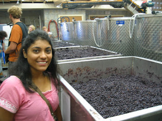 Fermenting blueberries