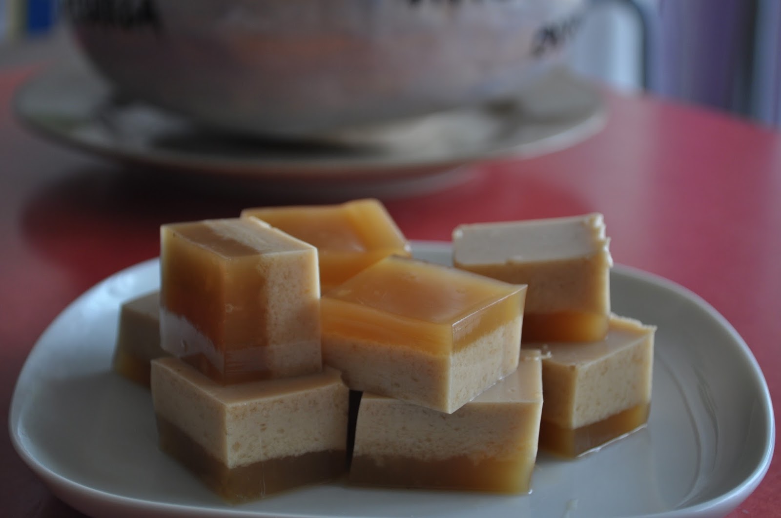 NJ Asiatique Cuisine Coconut Milk and Palm Sugar Jelly