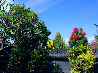 Flowers And Plants At Dalem Temple Ringdikit, North Bali