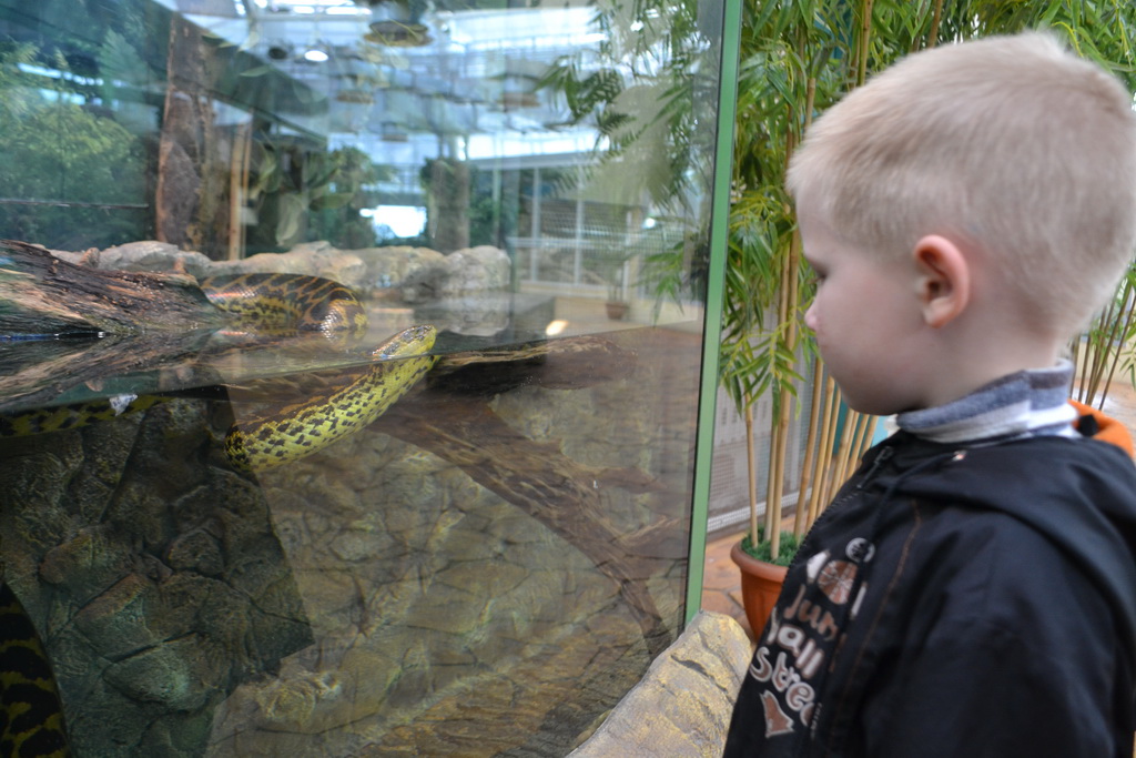 Что такое экзотариум в зоопарке