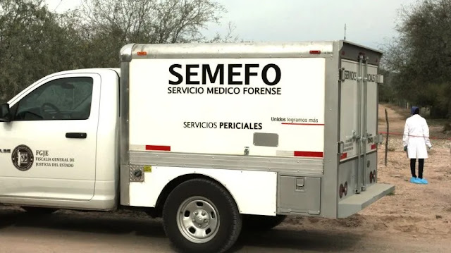 Jauría de perros matan a dos hombres 