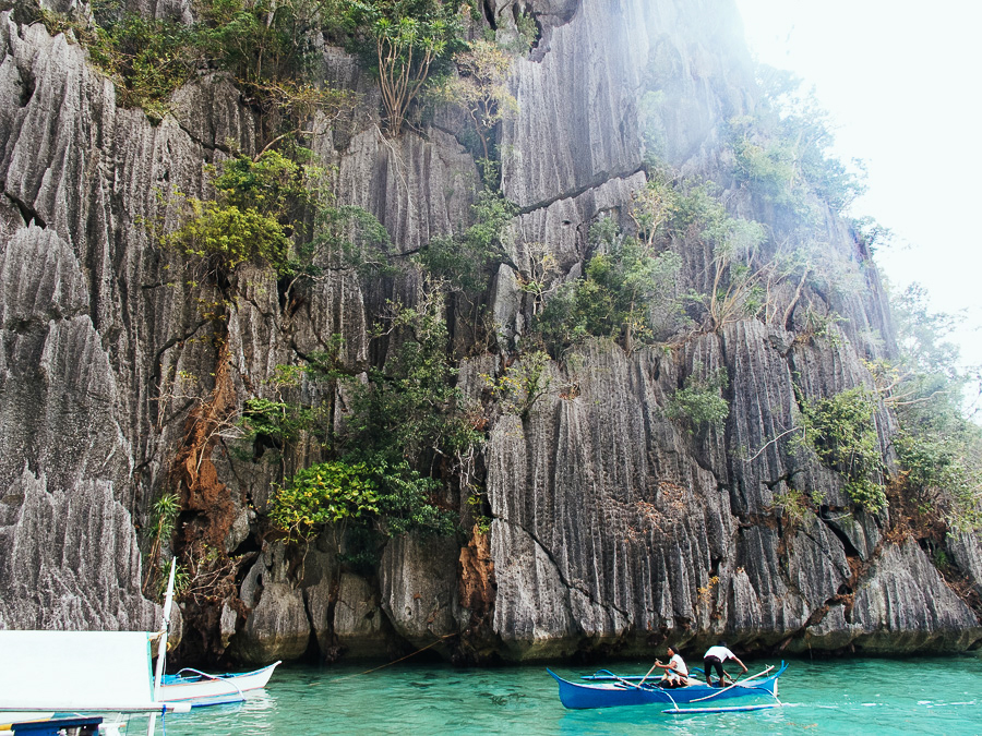 Coron 2015 | chainyan.co