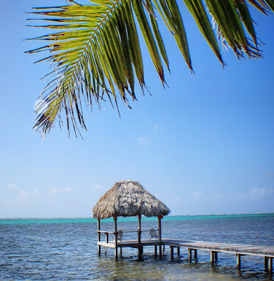 Remaxvipbelize - Paco's Tiki Bar