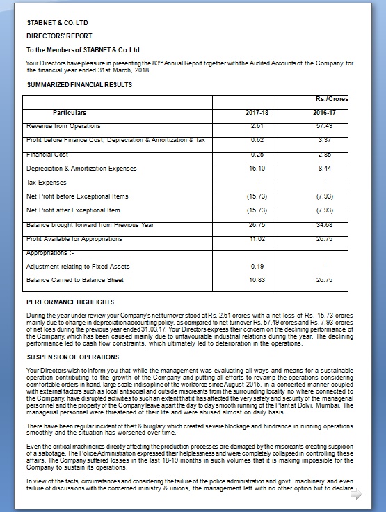 Private Company Director Report Format in Word