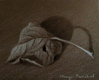 Charcoal and white pastel pencil sketching of a leaf by Manju Panchal