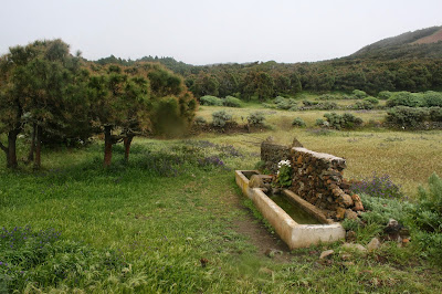 Recorriendo El Hierro : Rasgos Generales