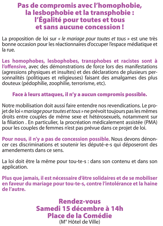 Manifestation pour l'égalité et contre l'homophobie, la lesbophobie et la transphobie Lyon