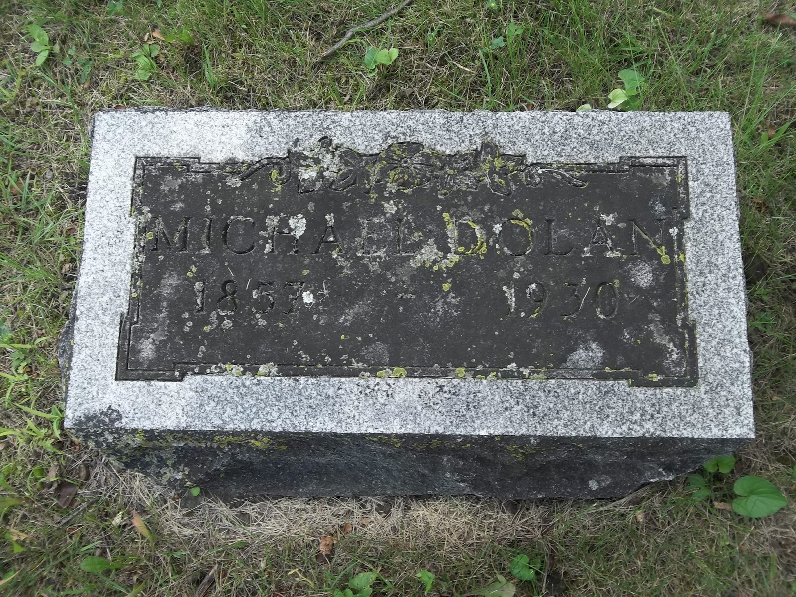 Lyman Township Cemetery & St. Mary's Cemetery: Michael H. Dolan