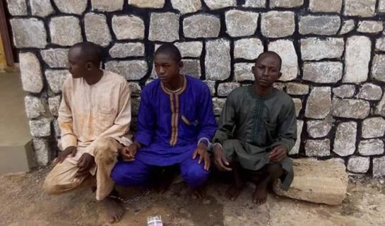v Police arrest notorious kidnapping gang terrorizing Kaduna-Abuja & its environs (photos)