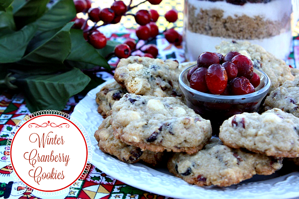 Cranberry White Chocolate Oatmeal Cookies In A Jar - Suburban