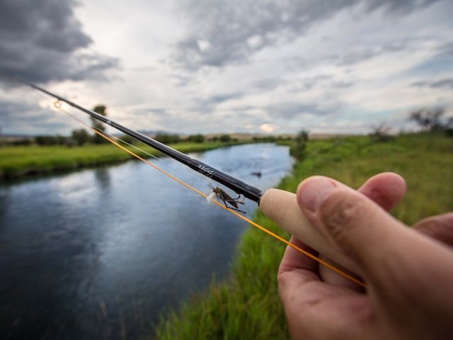 Selecting the Right Rod Selecting the Right Rod