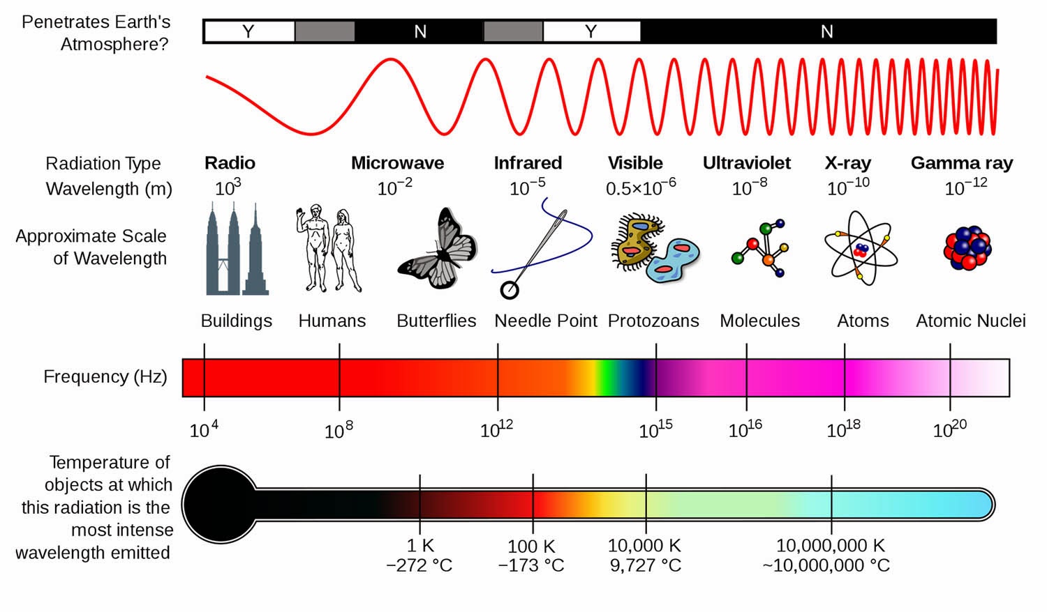 The Xray The Science
