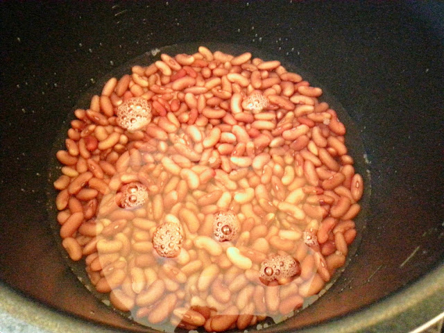 rebus kacang merah noxxa, kacang rebus noxxa. rebus kacang guna noxxa