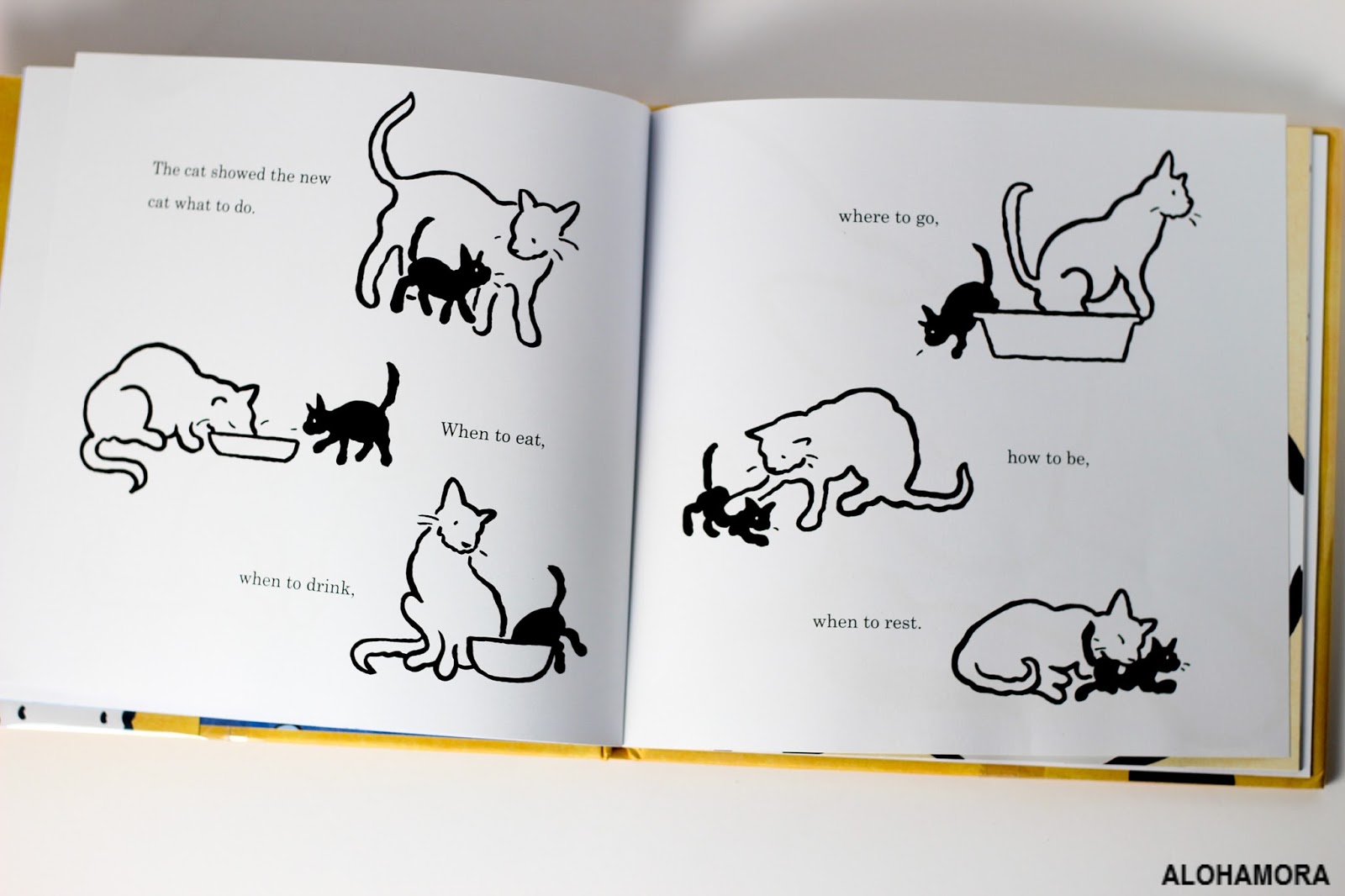 Alohamora Open a Book Big Cat, Little Cat gets 4 Stars {picture book