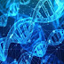 DNA could be used to store digital data more efficiently than computers