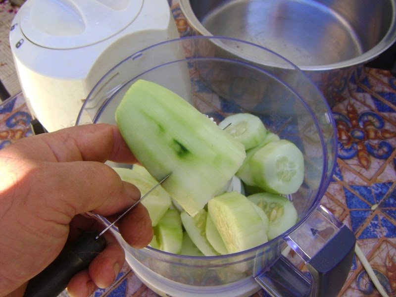 EL SEXAGENARIO PEPINOS CONSERVAR Y CONGELAR