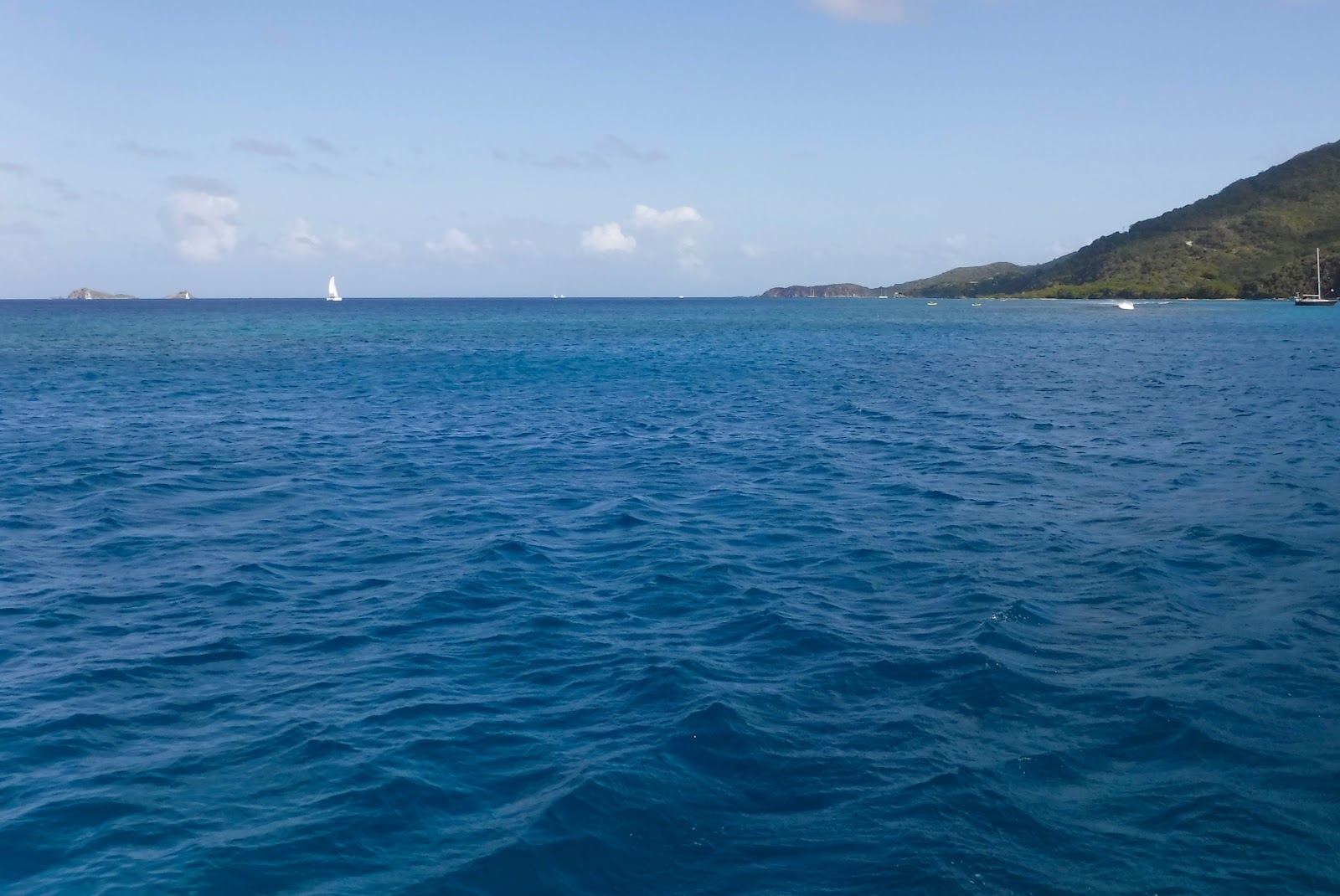 Things we did today... Expanding The Trellis Bay Experience