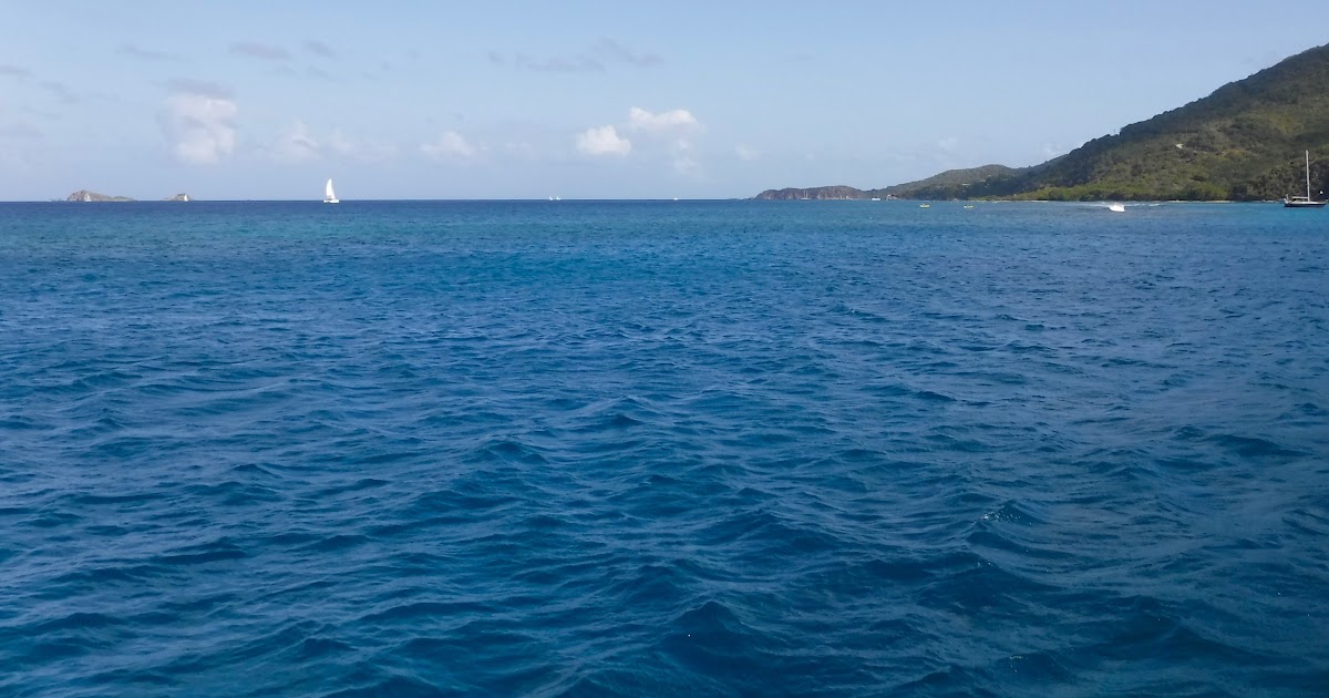 Things we did today... Expanding The Trellis Bay Experience