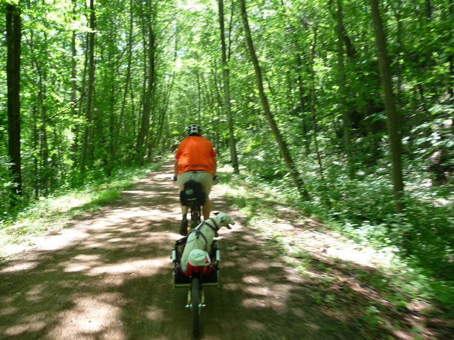 New England Mountain Bike Association, Central CT Chapter Vernon Rail Trail