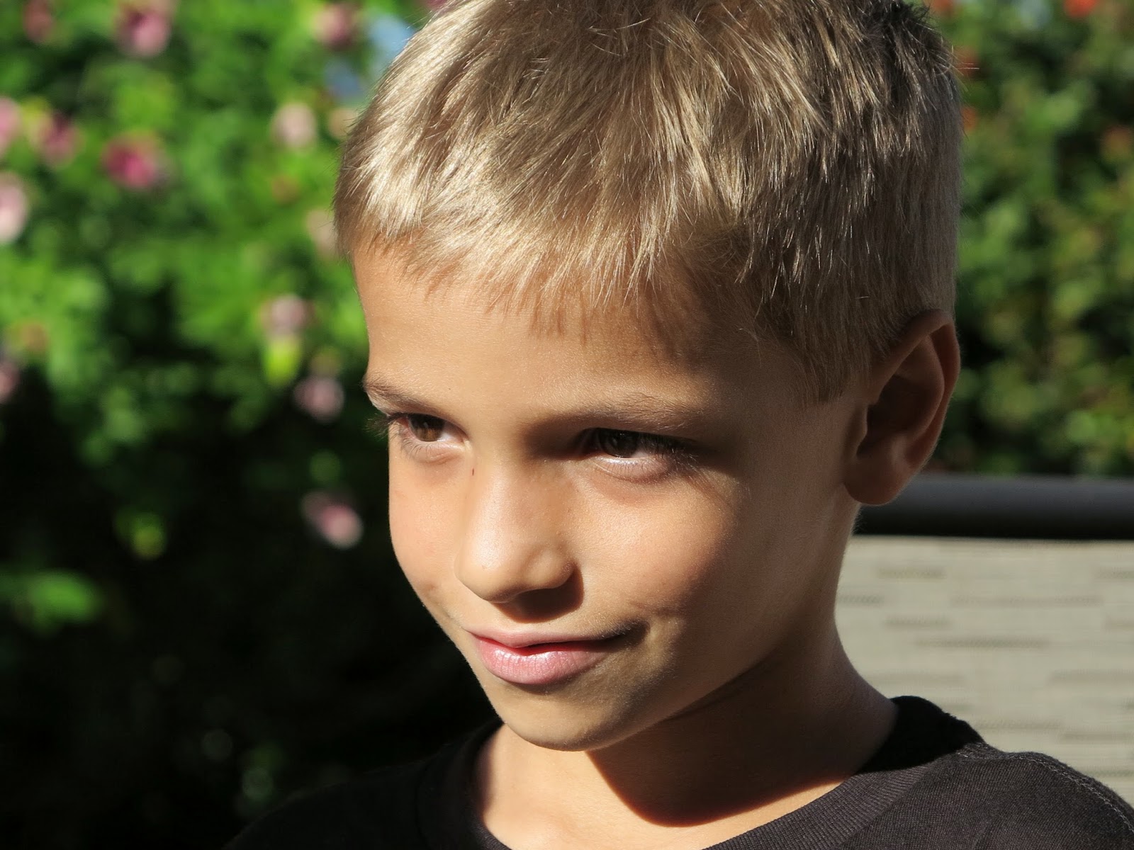 petite tortue de floride