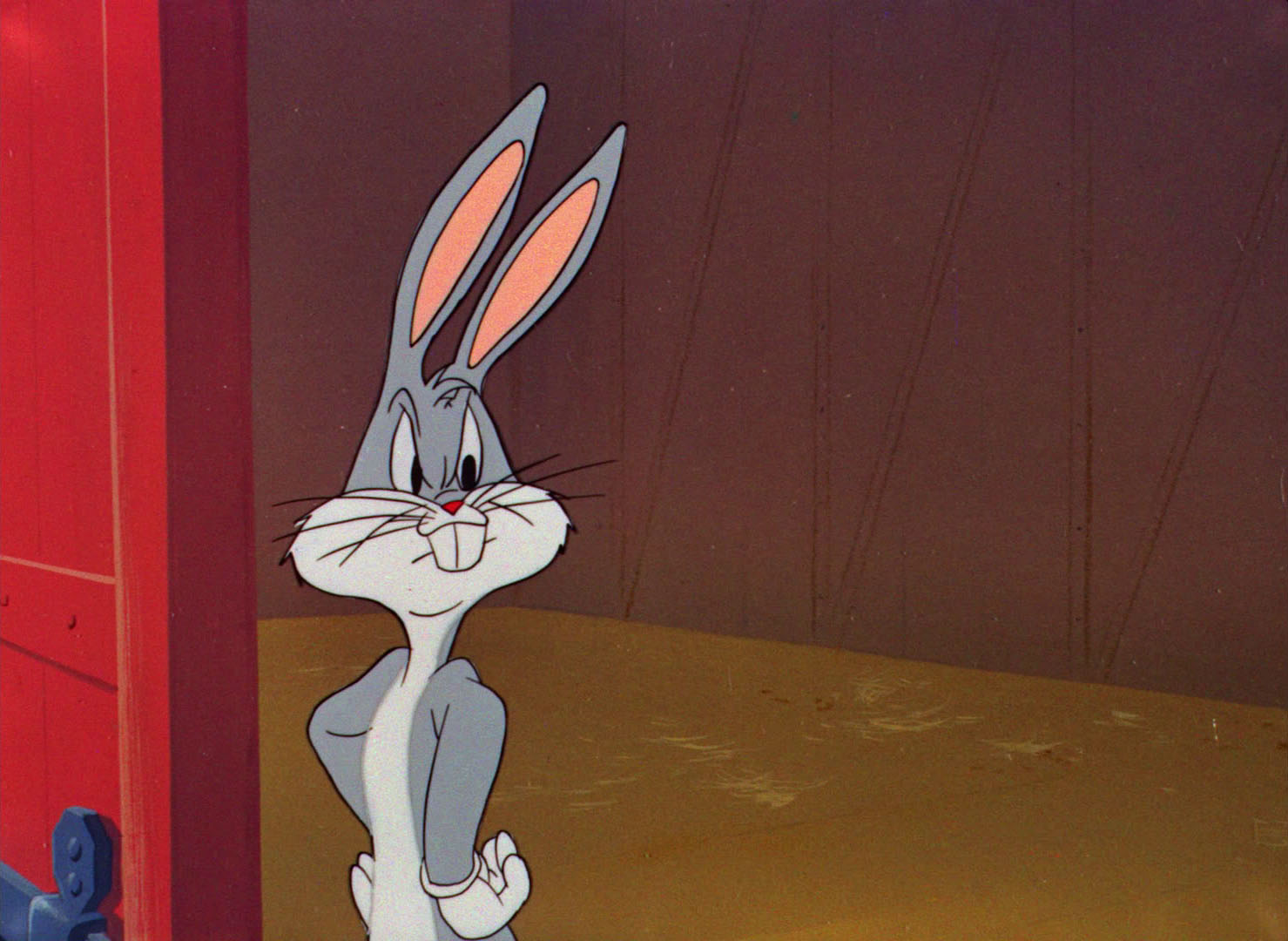 Бакс бани с деньгами в руках