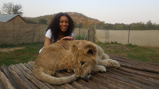 Going Going Gone: Johannesburg Lion and Safari Park