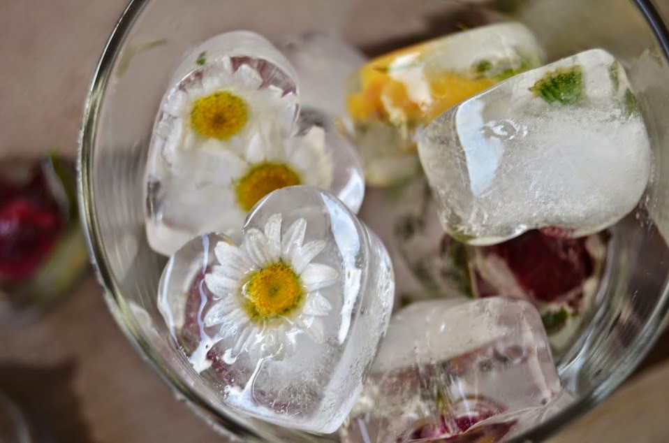 El Rincón de la Mariposa: Cubitos de Hielo con Flores