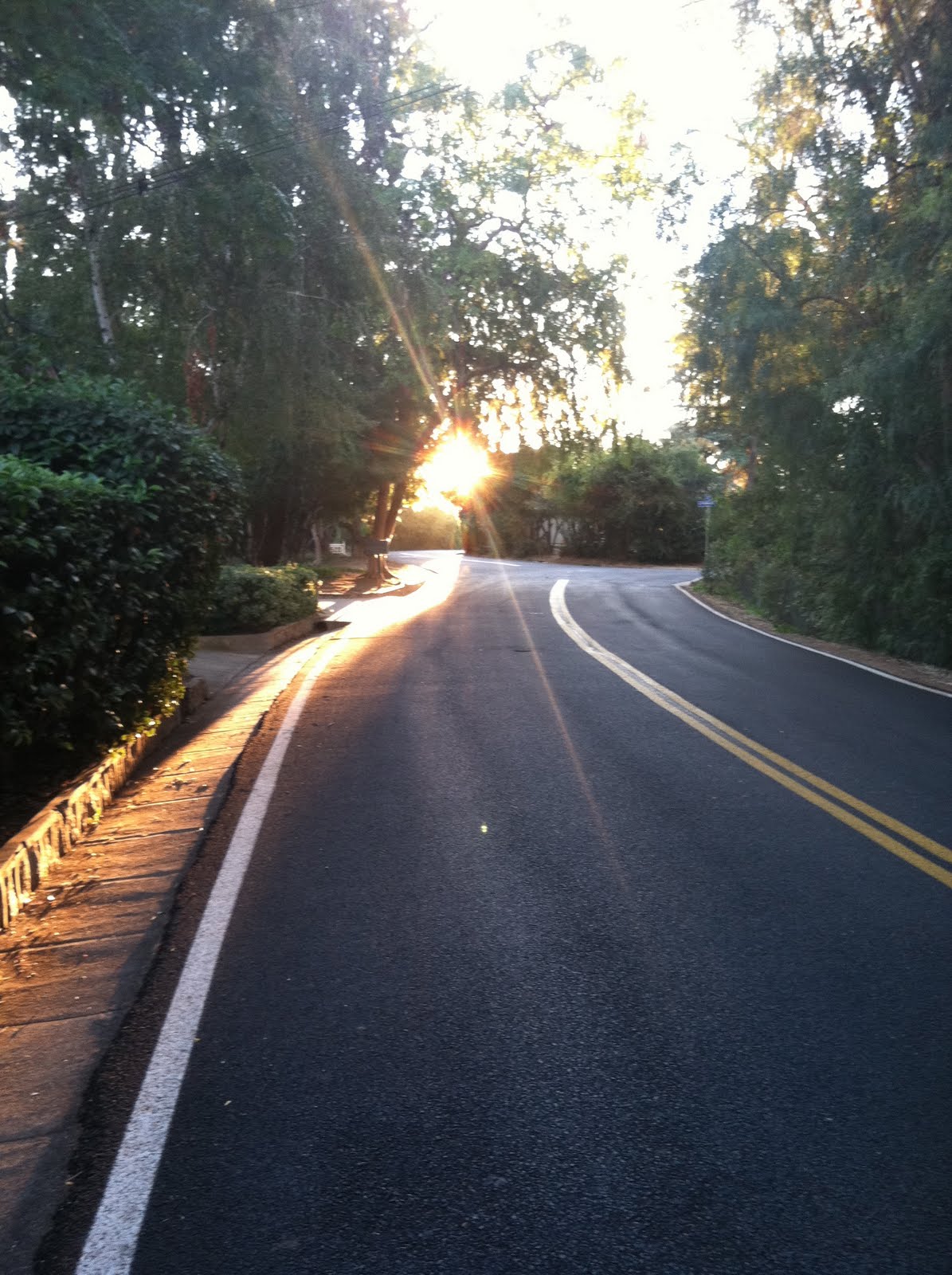 FreeBird Velo: How Do You Gu?