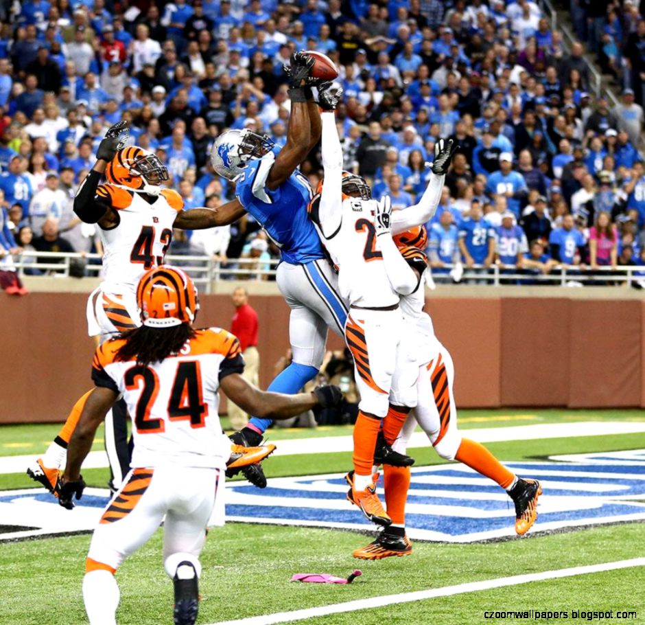 [Image: photo-calvin-johnsons-touchdown-catch-in...engals.jpg]