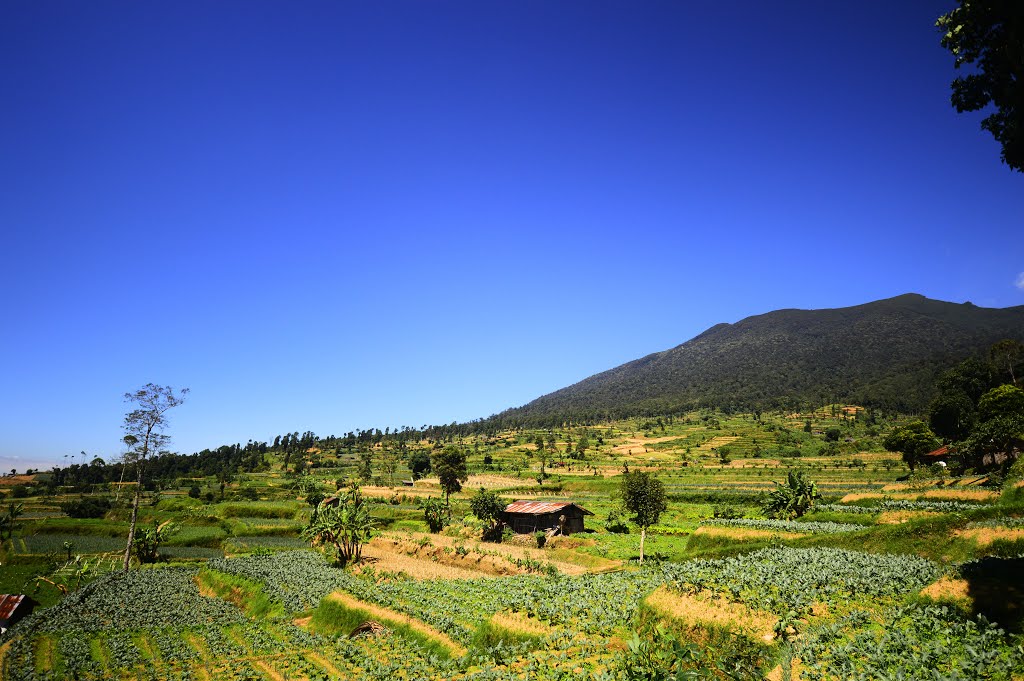 Profil Desa Sukatani - Pacet - PANGRANGOPRINT