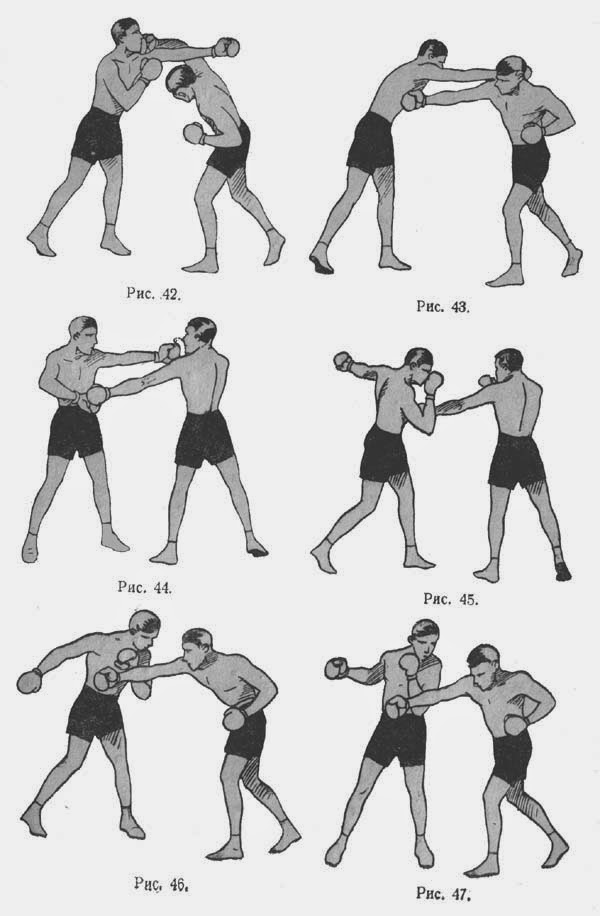 Удары в кикбоксинге ногами названия и картинки