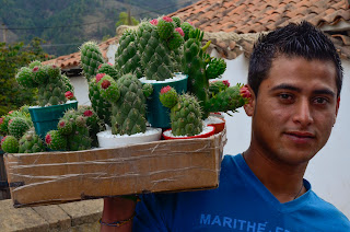 Vendedor de Cactus en Villa de Leyva. Foto: Jorge Bela Kindelan