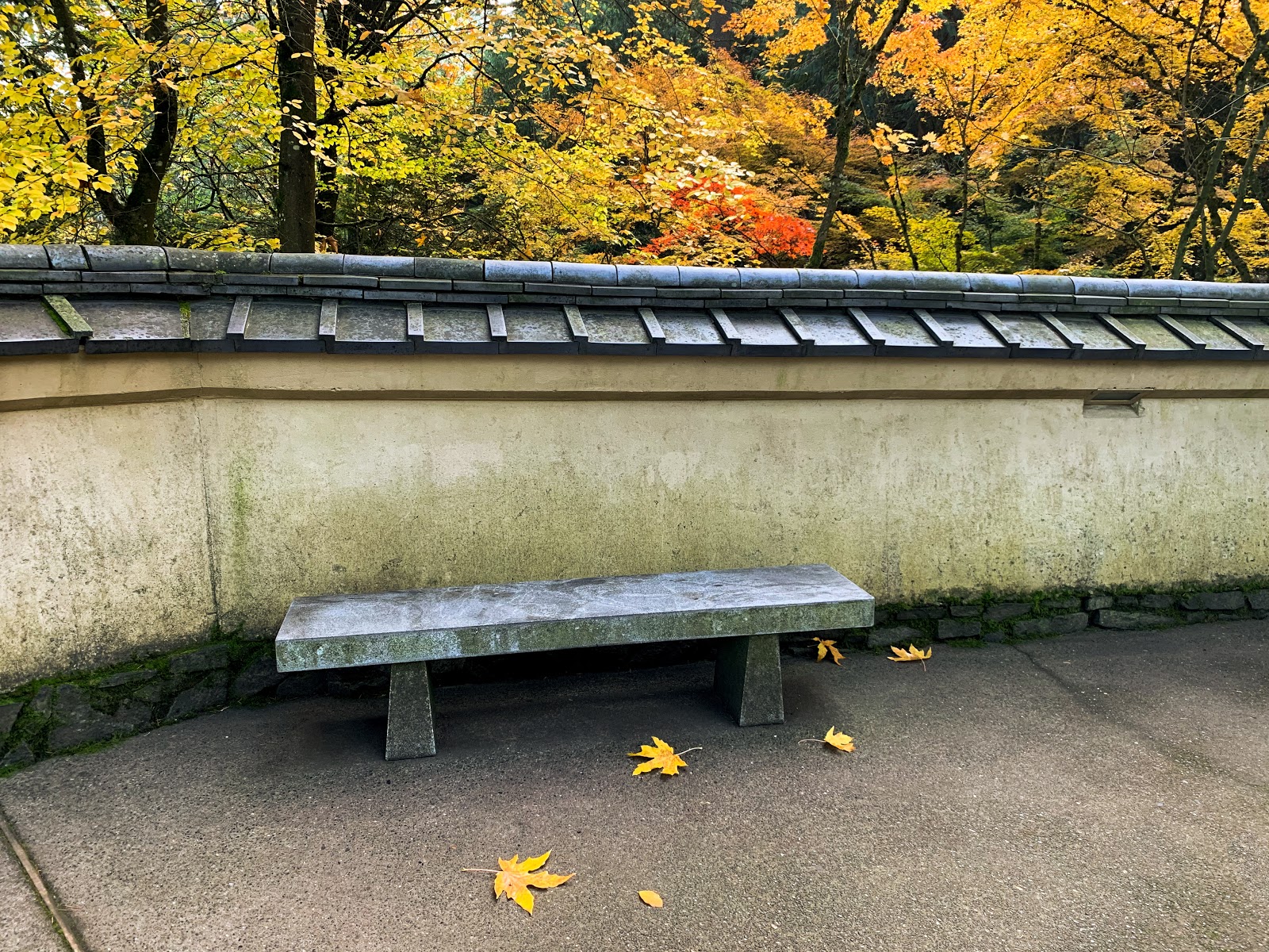 Rectangles Stone Bench And Leaves Portland Japanese Garden