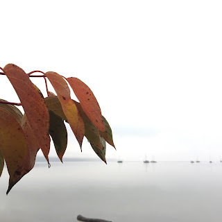 Rotes Laub und Segelboote auf dem Ammersee