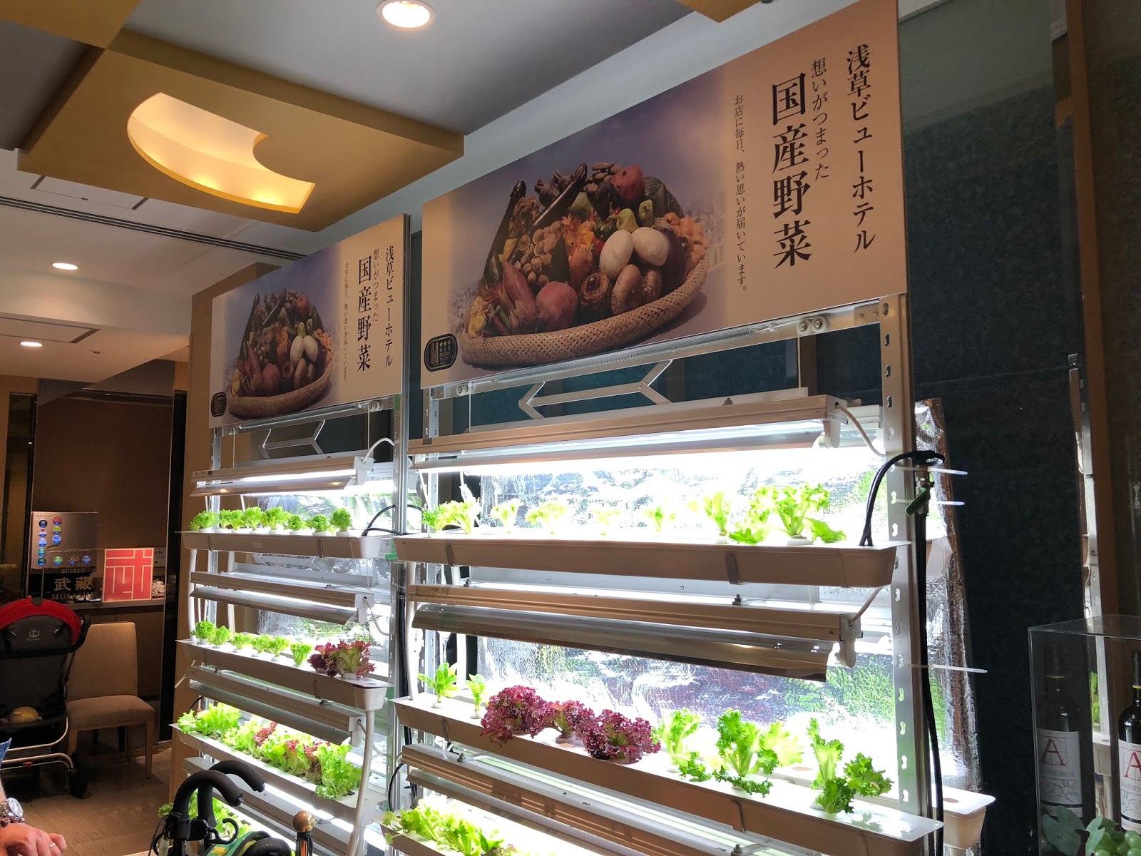 フード ワインの日々 東京スカイツリーを眺めながら和洋中食べ放題 浅草ビューホテル スカイグリルブッフェ 武蔵