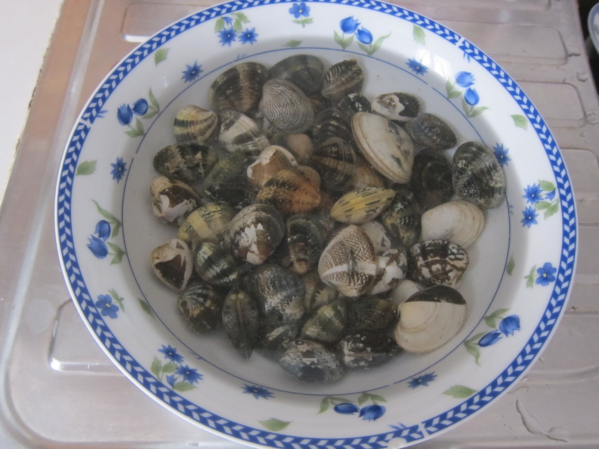 Spaghetti bottarga e vongole