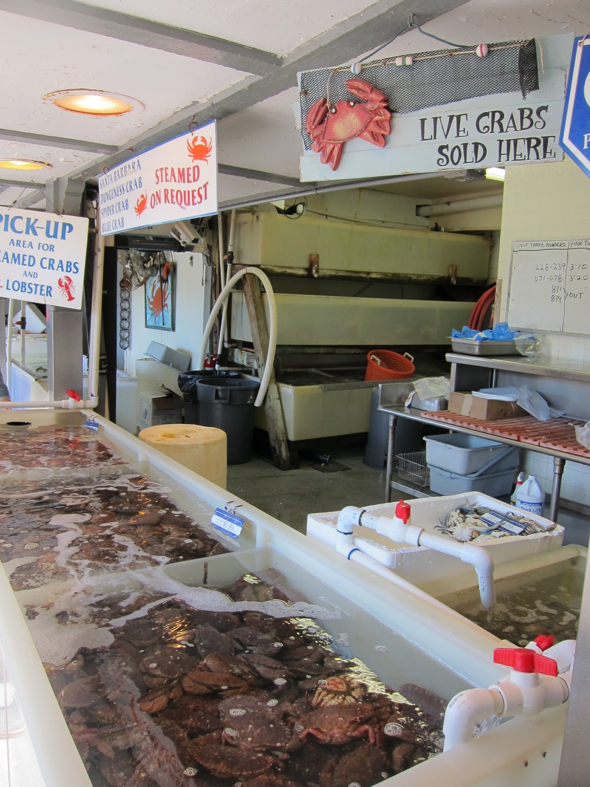 One More Bite Blog Food Travel Adventures Redondo Beach International Boardwalk