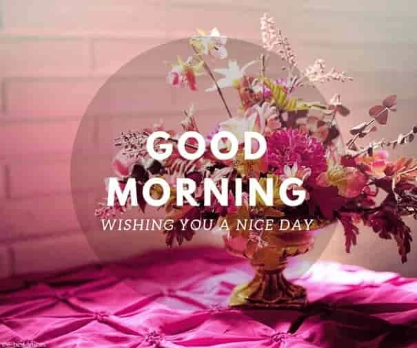 wishing you a nice day good morning