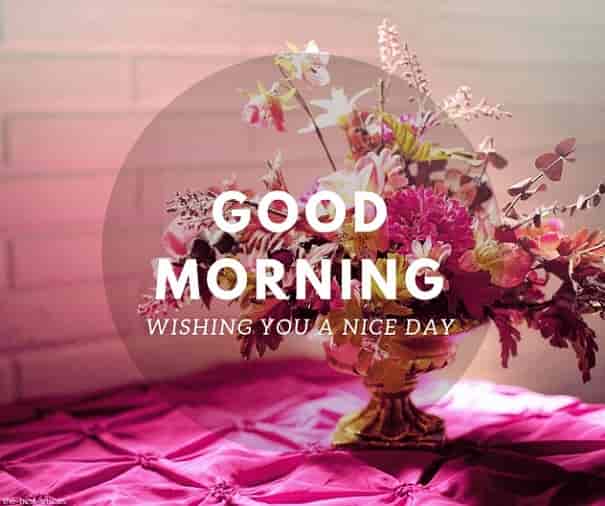 wishing-you-a-nice-day-good-morning wishing you a nice day good morning