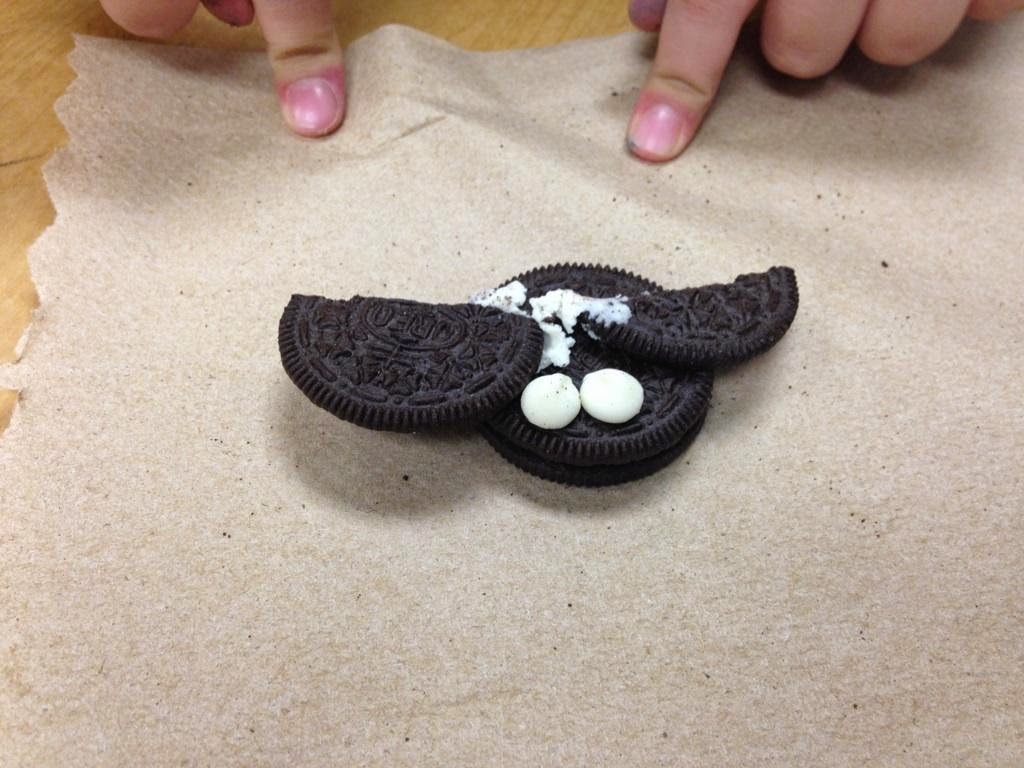 photo of bat made out of oreo cookies