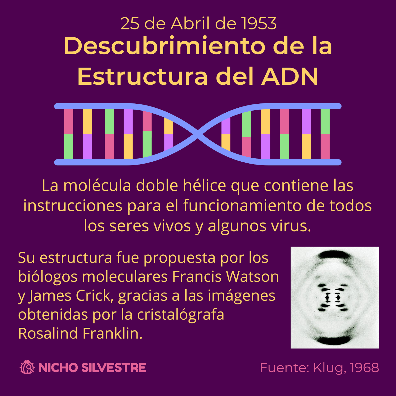 Descubrimiento de la Estructura del ADN [Infografía]