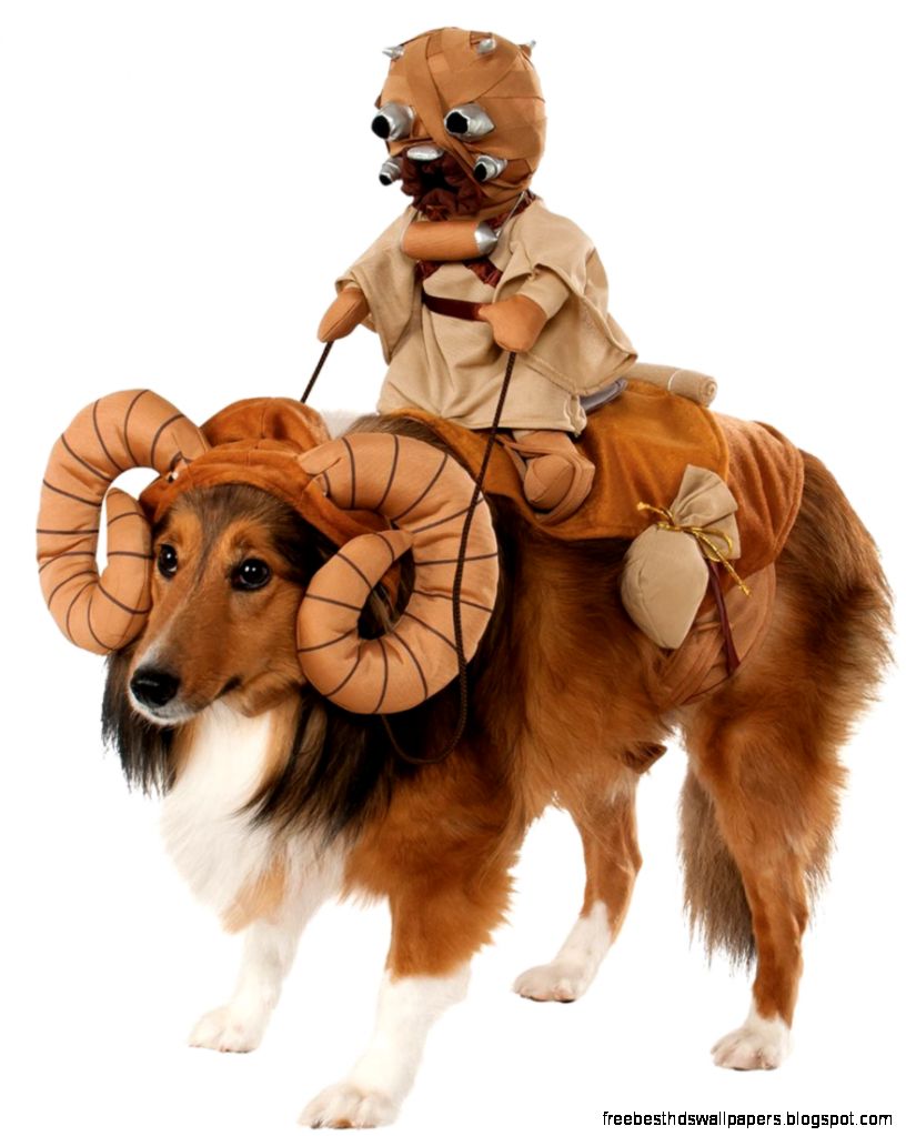 Star Wars Darth Vader Dog Costume   Star Wars Dog Costumes