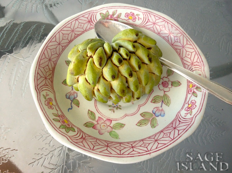 Sage Island Caribbean Fruit