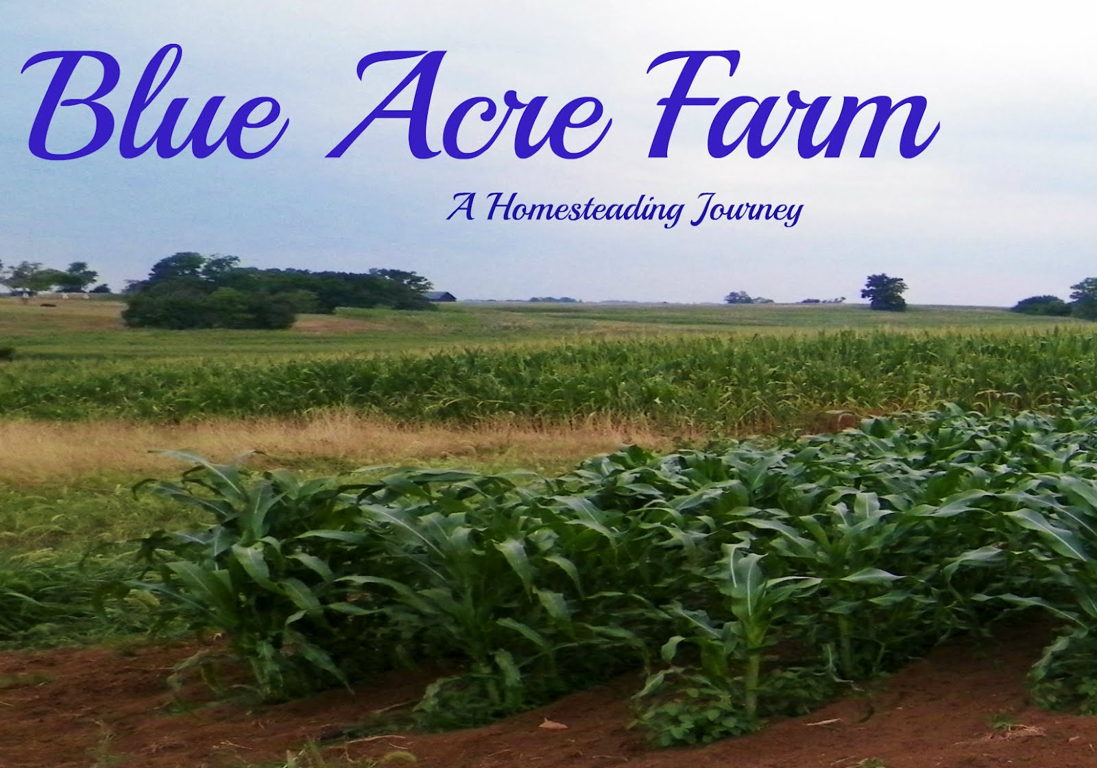 Blue Acre Farm