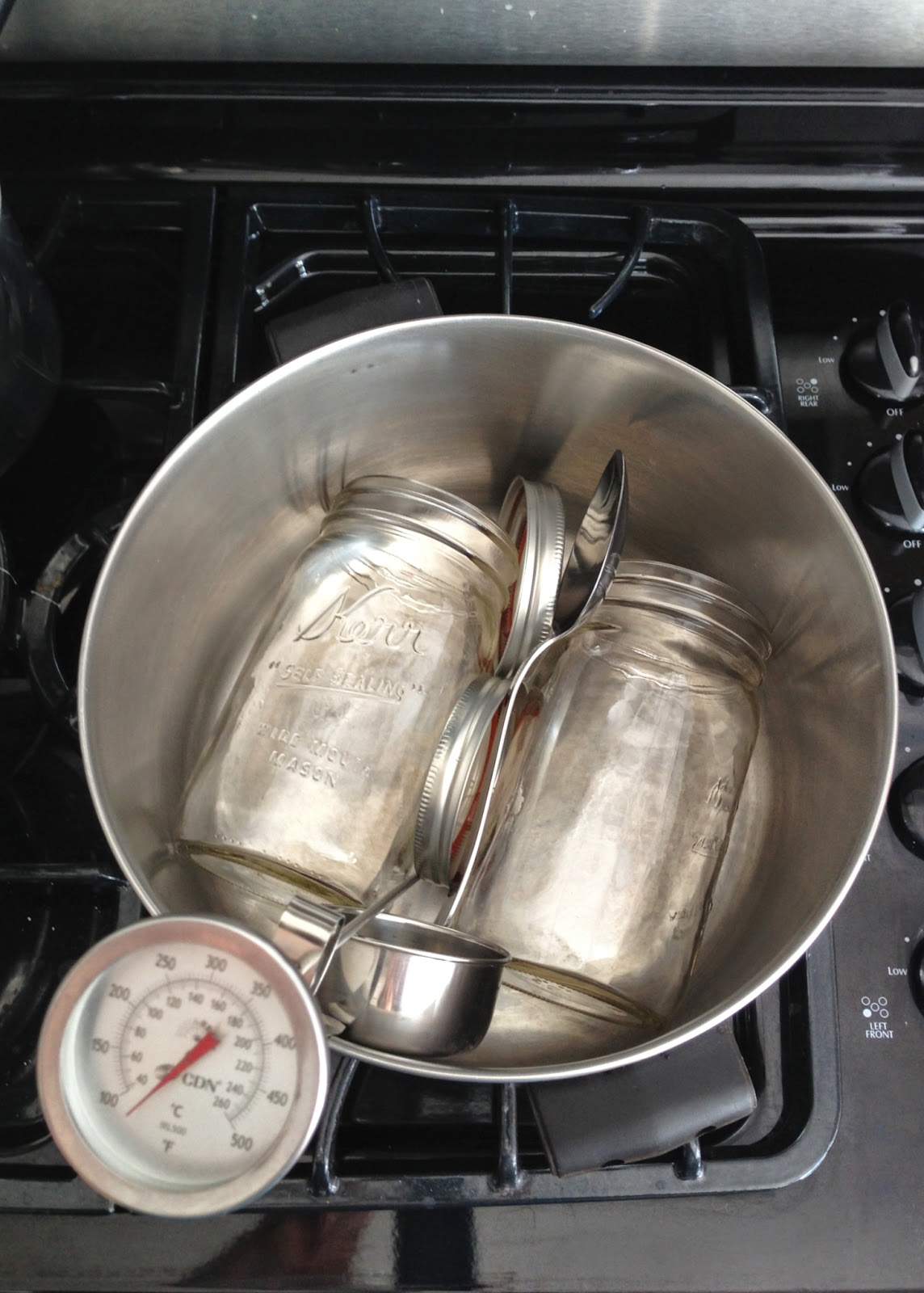 Easy homemade YOGURT How to make delicious yogurt in your oven! Farm