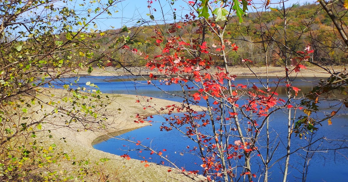 New Jersey and You Perfect Together, Liberty and