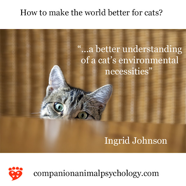 Let Dogs Be Dogs and Cats' Environmental Necessities
