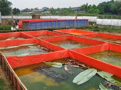 Ini Dia Contoh Usaha Rumahan yang Mudah | Cari ide Peluang Bisnis Modal